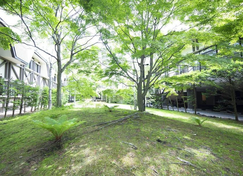 屋外の景色 写真