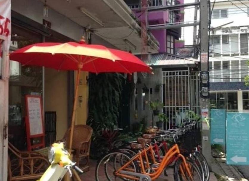 屋外の景色 写真