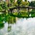 屋外の景色
