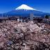 屋外の景色