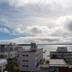 屋外の景色
