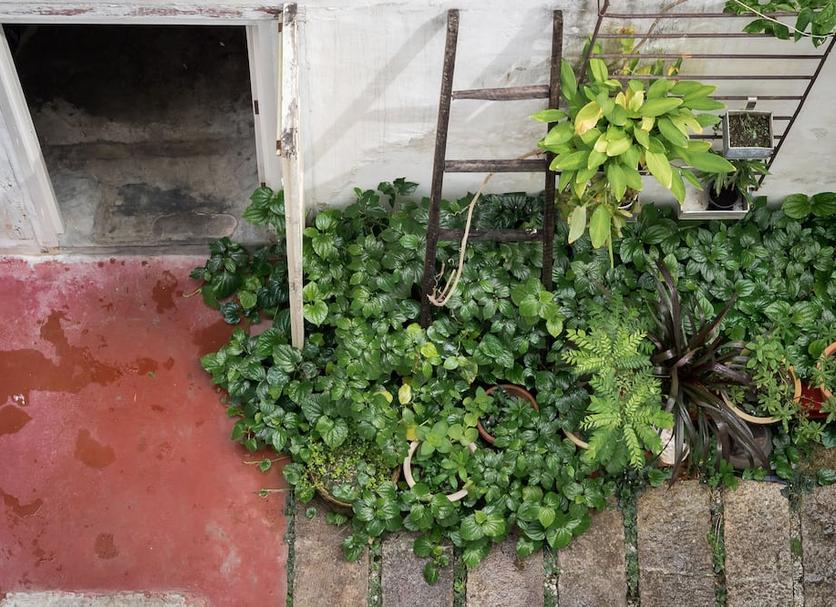 屋外の景色 写真