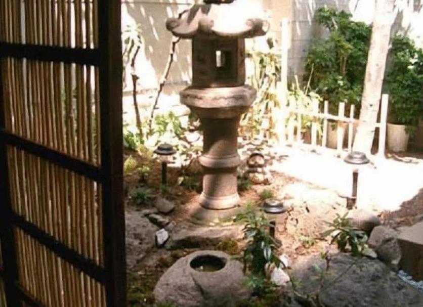 屋外の景色 写真