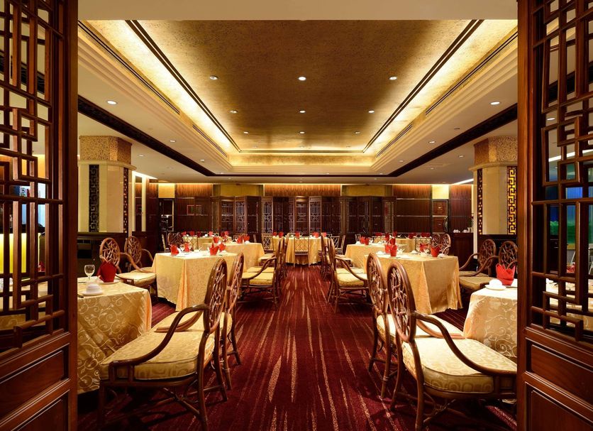 レストラン 写真