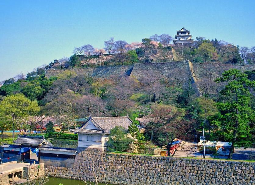 屋外の景色 写真