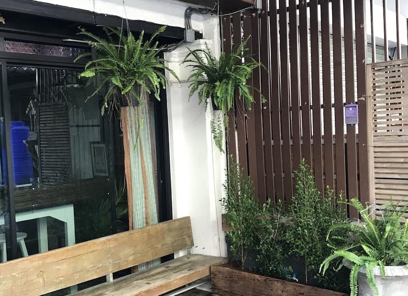 屋外の景色 写真