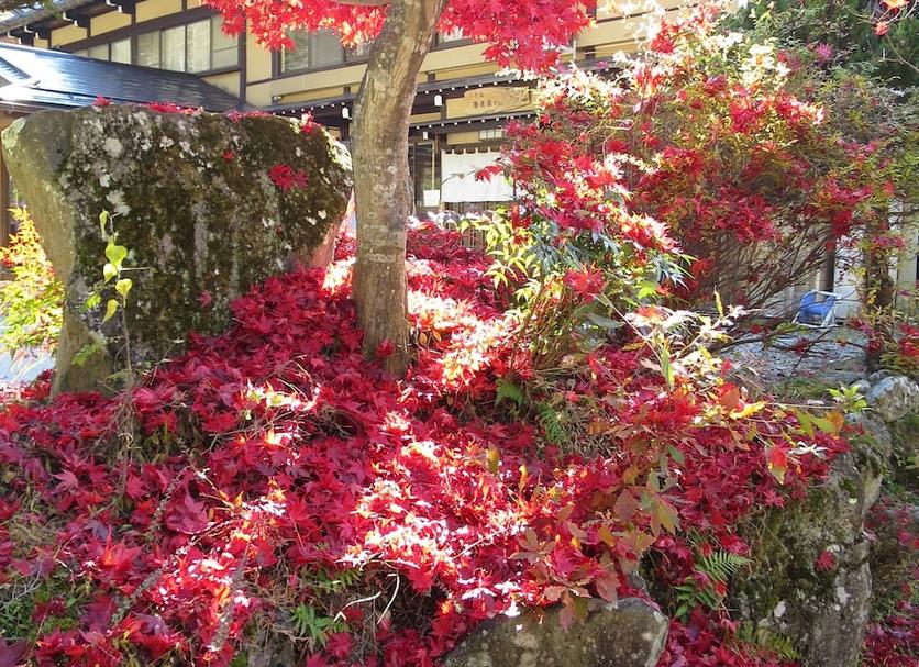 屋外の景色 写真