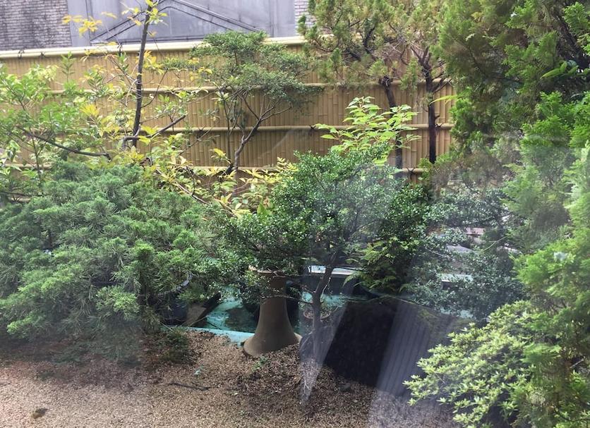 屋外の景色 写真