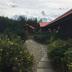屋外の景色