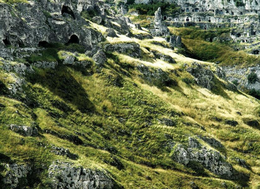 屋外の景色 写真