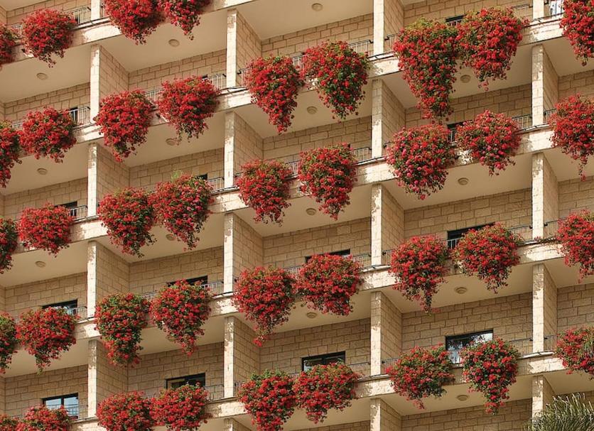 建物 写真