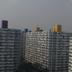 屋外の景色