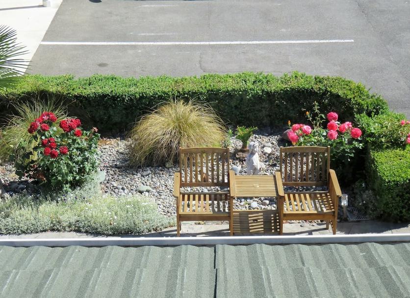 テラス 写真