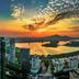 屋外の景色