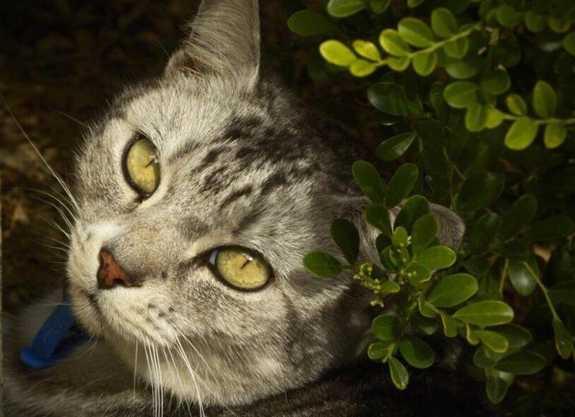 その他 写真