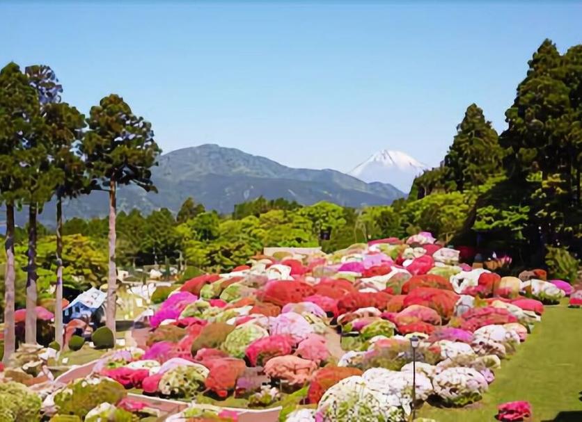 屋外の景色 写真