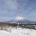 屋外の景色