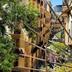 屋外の景色