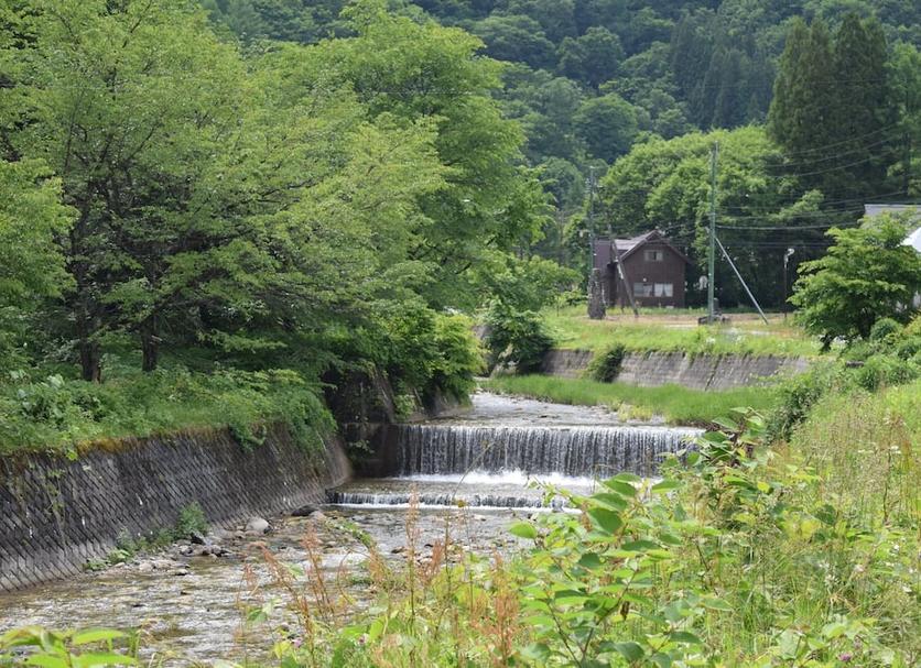 屋外の景色 写真