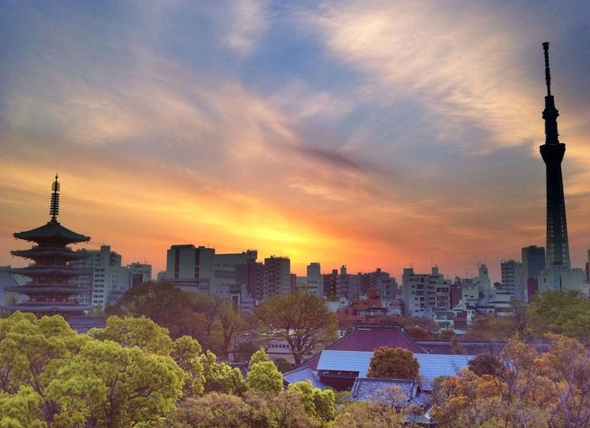 屋外の景色 写真