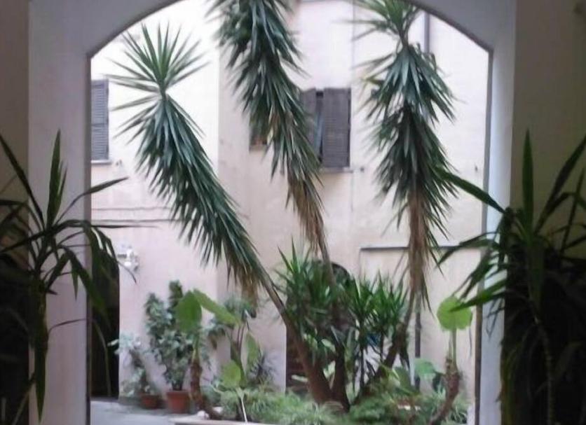 屋外の景色 写真