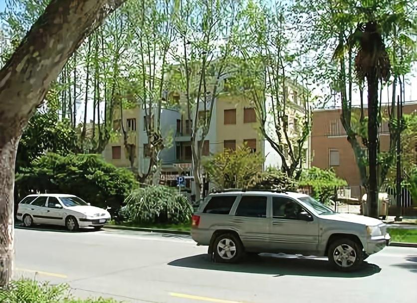 屋外の景色 写真