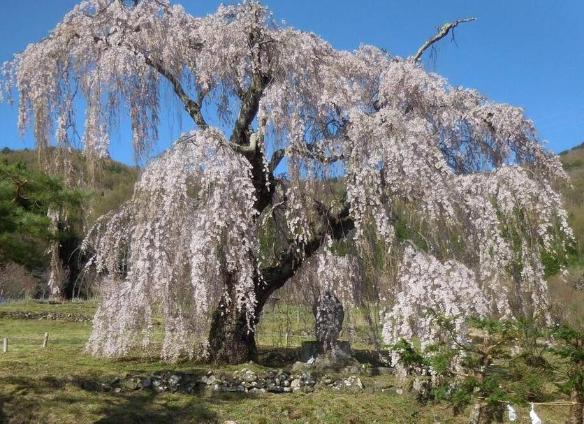 その他 写真