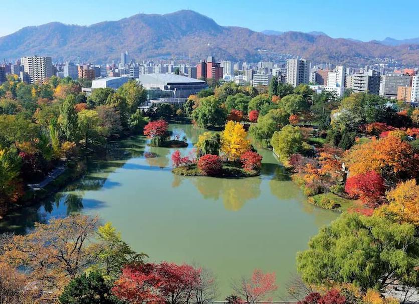 屋外の景色 写真