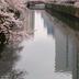 屋外の景色