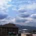 屋外の景色