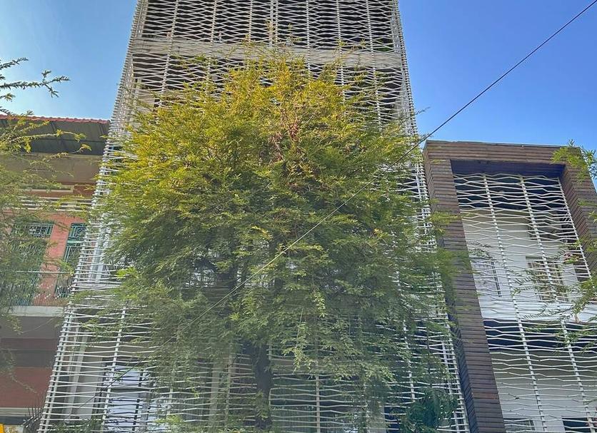 屋外の景色 写真