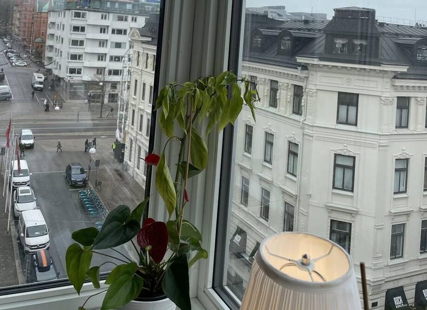屋外の景色 写真