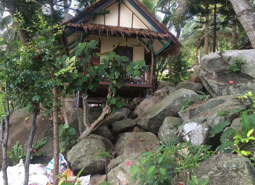 屋外の景色 写真