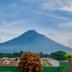 屋外の景色