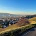 屋外の景色