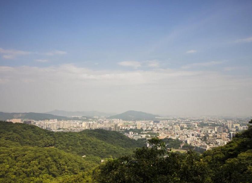 屋外の景色 写真