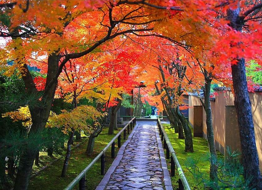 屋外の景色 写真