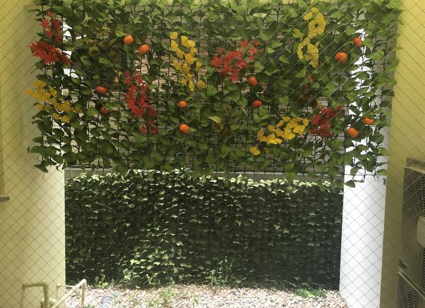 屋外の景色 写真