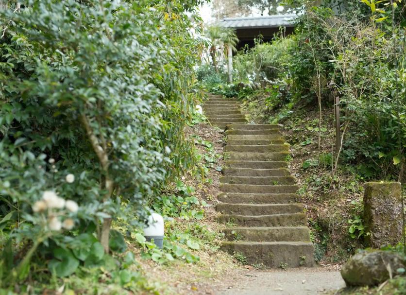 屋外の景色 写真