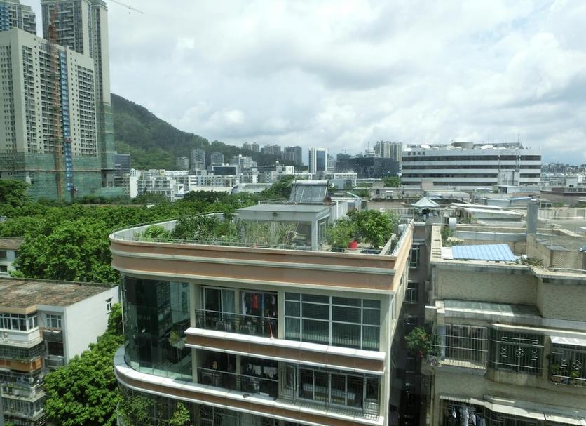 屋外の景色 写真