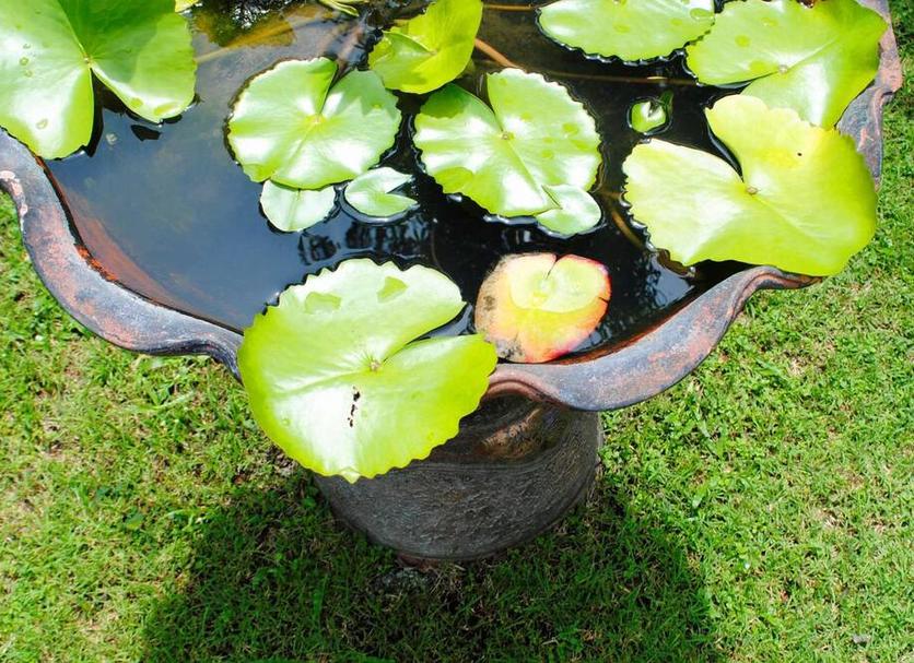 その他 写真