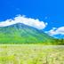 屋外の景色