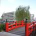 屋外の景色