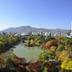 屋外の景色