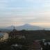 屋外の景色