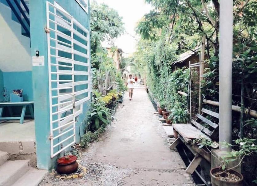 屋外の景色 写真