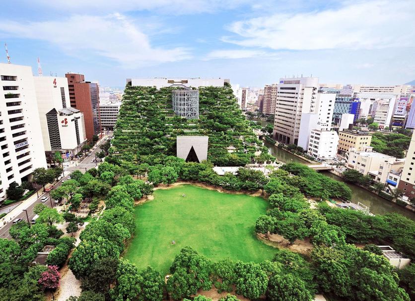 屋外の景色 写真