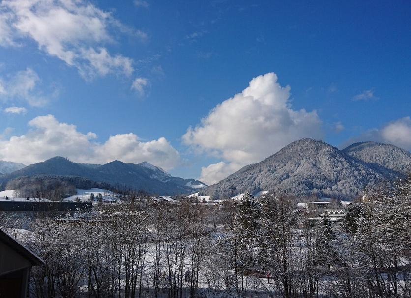 屋外の景色 写真