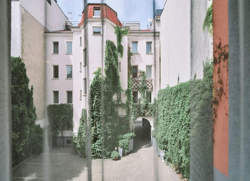 屋外の景色 写真
