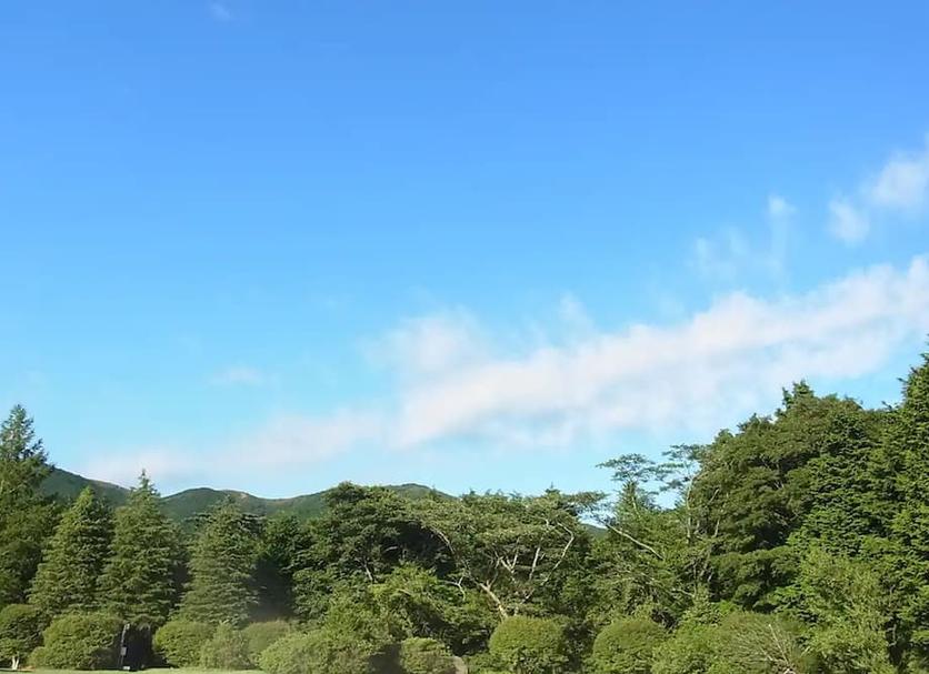 屋外の景色 写真